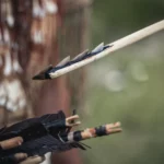 Mésolithique 5000 av. JC-7_resultat