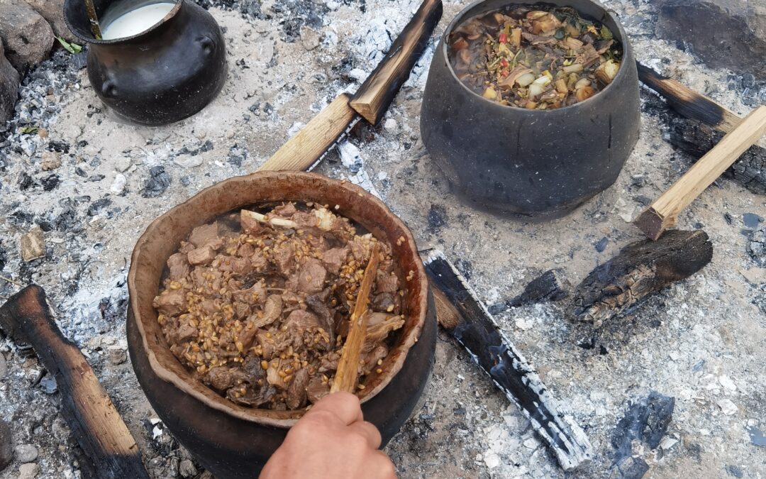 Formation à la vie sauvage et immersion