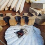 474499731_584596097667727_2658830599134772680_n