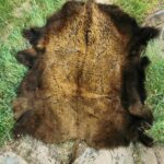 282529340_125824226775292_1604610048568604223_n