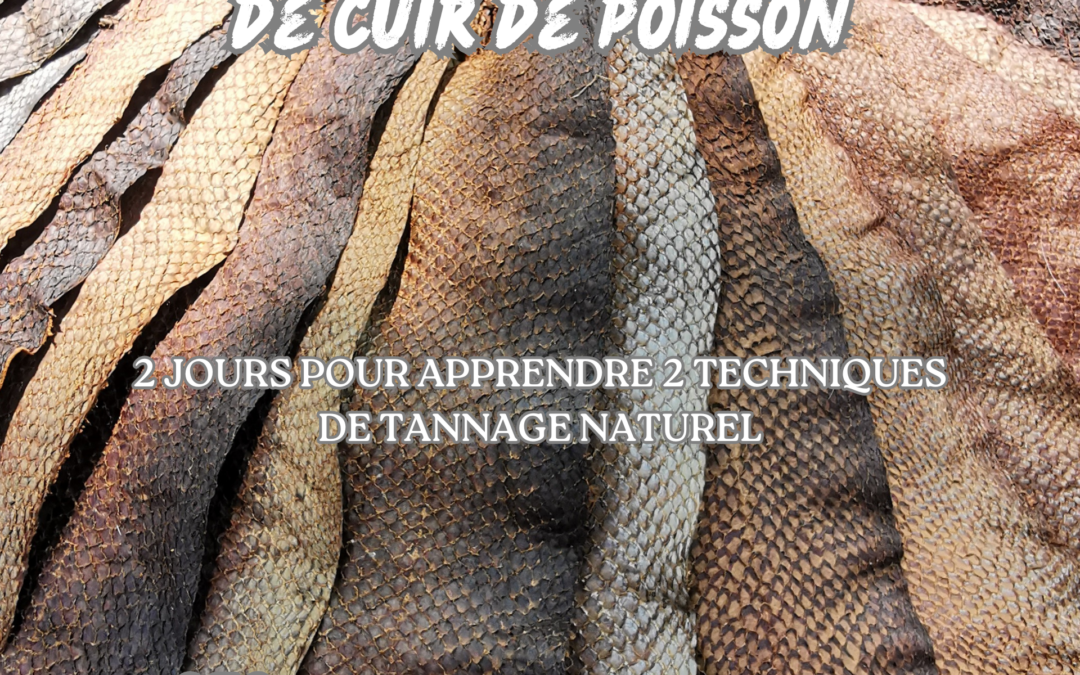 Stage: tannage de peau de saumon