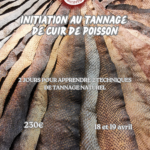stage de tannage cuir de poisson
